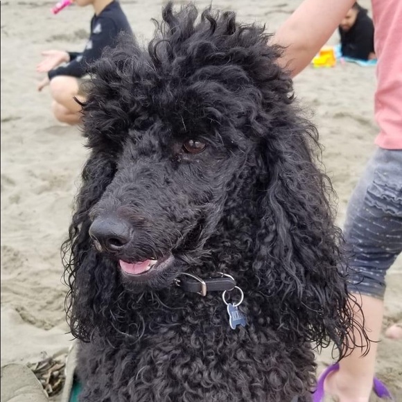 Unique clothing and housewares - Picture 10 of 16